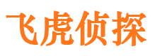 洛川婚外情调查取证